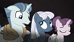 Season 5 picture