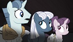 Season 5 picture