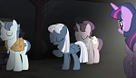 Season 5 picture