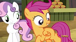 Season 5 picture