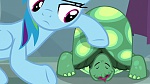 My Little Pony : Tanks for the Memories picture