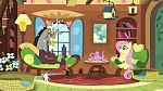Season 6 picture