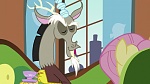 Season 6 picture