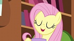 Season 6 picture