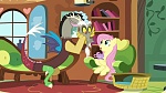 Season 6 picture