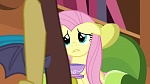 Season 6 picture
