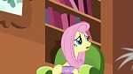 Season 6 picture