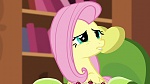 Season 6 picture