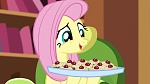 Season 6 picture