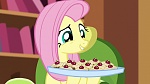 Season 6 picture