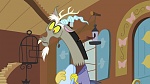 Season 6 picture