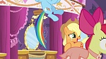 Season 6 picture