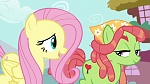 Season 6 picture