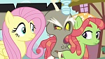 Season 6 picture