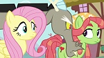 Season 6 picture