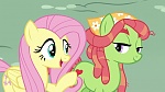 Season 6 picture