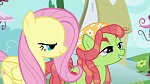 Season 6 picture