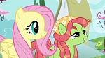 Season 6 picture