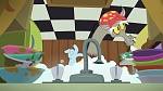 Season 6 picture