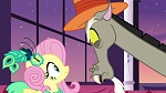 Season 6 picture