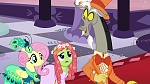 Season 6 picture