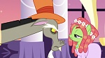 Season 6 picture