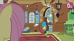 Season 5 picture