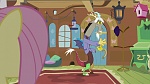 Season 5 picture
