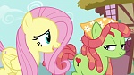 Season 5 picture