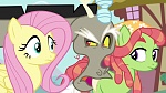 Season 5 picture