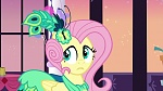 Season 5 picture