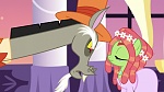 Season 5 picture