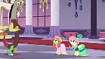 Season 5 picture