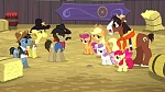 My Little Pony :  picture