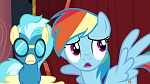 Image Mon Petit Poney : Rarity Investigates! 