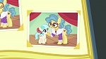 Image Mon Petit Poney : Made in Manehattan 