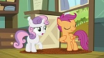 My Little Pony :  picture