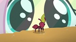 Image Mon Petit Poney :  The One Where Pinkie Pie Knows