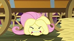 Image Mon Petit Poney : Scare Master 