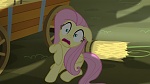 Image Mon Petit Poney : Scare Master 