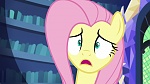 Image Mon Petit Poney : Scare Master 