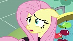 Image Mon Petit Poney : Scare Master 
