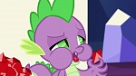 Image Mon Petit Poney : What about Discord?