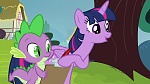 Image Mon Petit Poney : What about Discord?