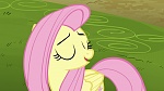 Image Mon Petit Poney : What about Discord?