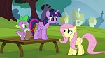 Image Mon Petit Poney : What about Discord?