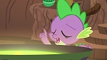 Image Mon Petit Poney : What about Discord?