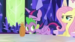 Image Mon Petit Poney : What about Discord?