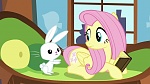 Image Mon Petit Poney : The Hooffields and McColts