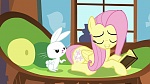 Image Mon Petit Poney : The Hooffields and McColts